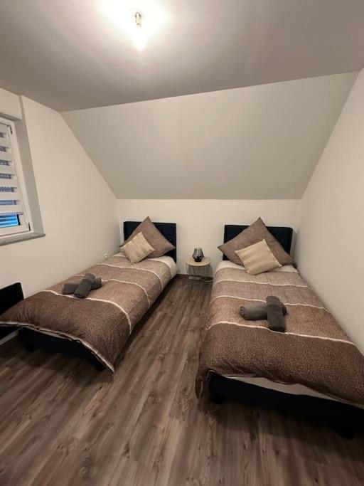 Appartement Algo Algolsheim 外观 照片