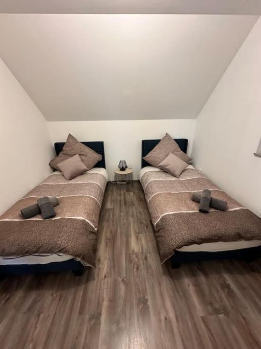 Appartement Algo Algolsheim 外观 照片
